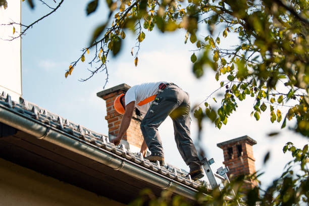 Best Roof Maintenance and Cleaning  in Palmyra, NJ